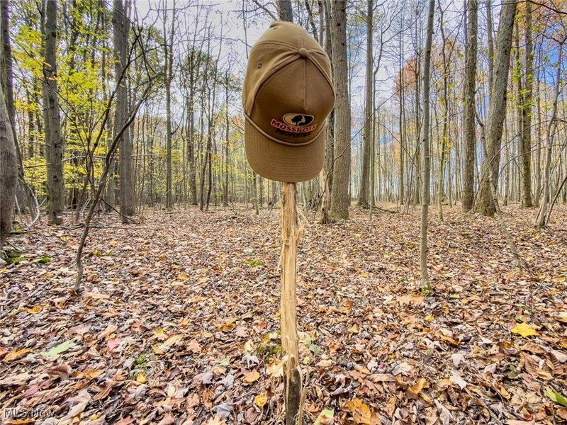 0 Middle Road, Pierpont, OH 44082 Photo 25