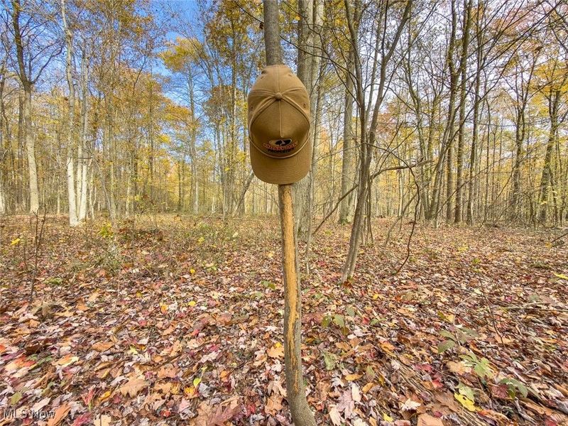 0 Middle Road, Pierpont, OH 44082 Photo 26