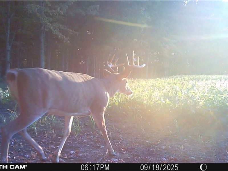 0 Middle Road, Pierpont, OH 44082 Photo 34