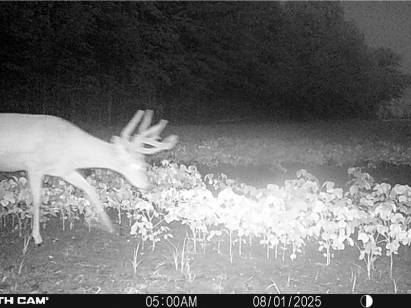 0 Middle Road, Pierpont, OH 44082 Photo 35