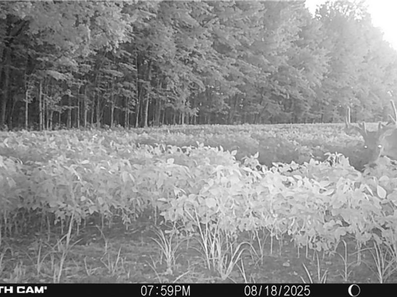 0 Middle Road, Pierpont, OH 44082 Photo 36