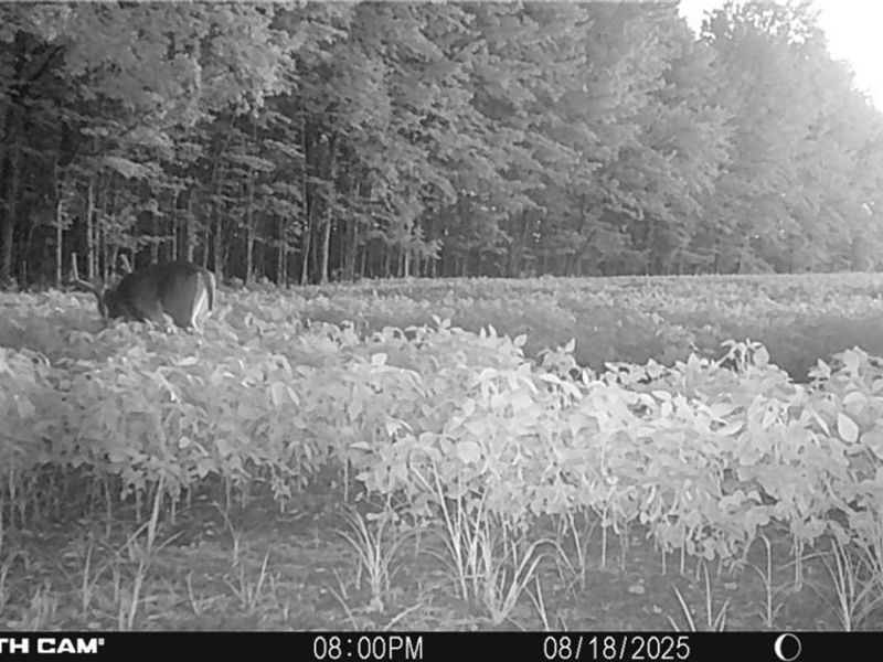 0 Middle Road, Pierpont, OH 44082 Photo 37