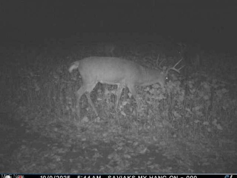 0 Middle Road, Pierpont, OH 44082 Photo 38