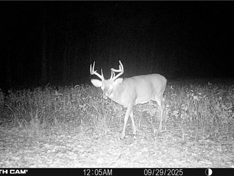 0 Middle Road, Pierpont, OH 44082 Photo 39