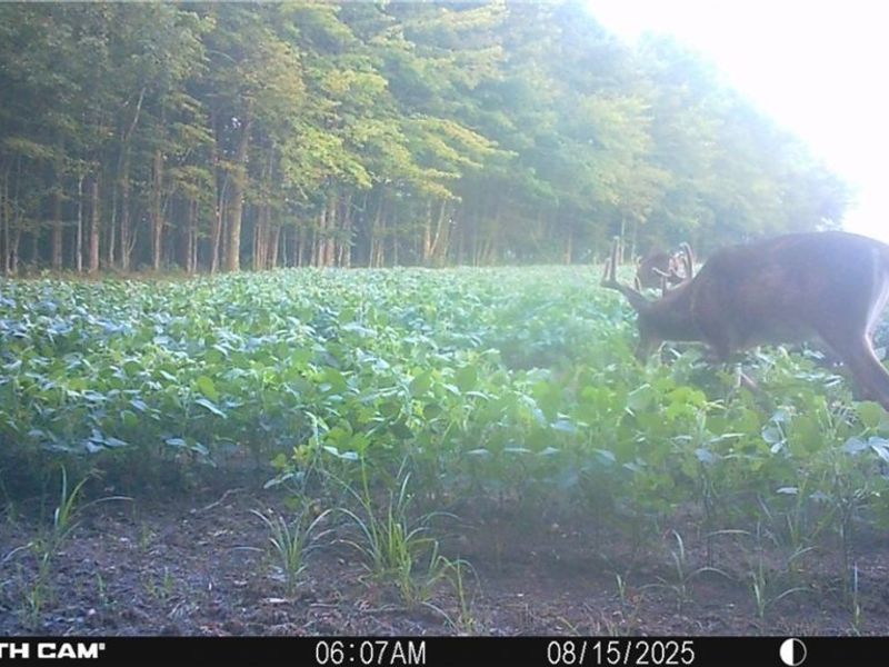 0 Middle Road, Pierpont, OH 44082 Photo 40