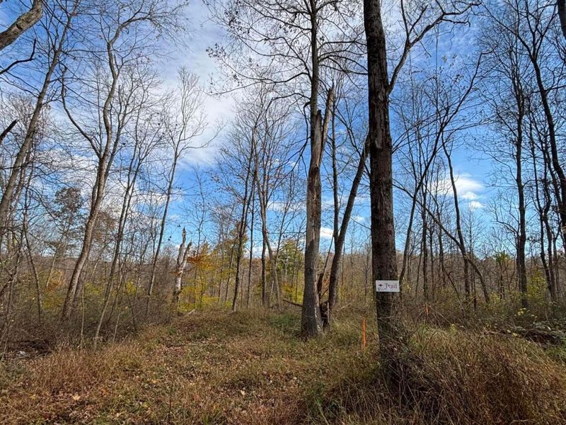 0 Township Rd 57, Roseville, OH 43777 Photo 8