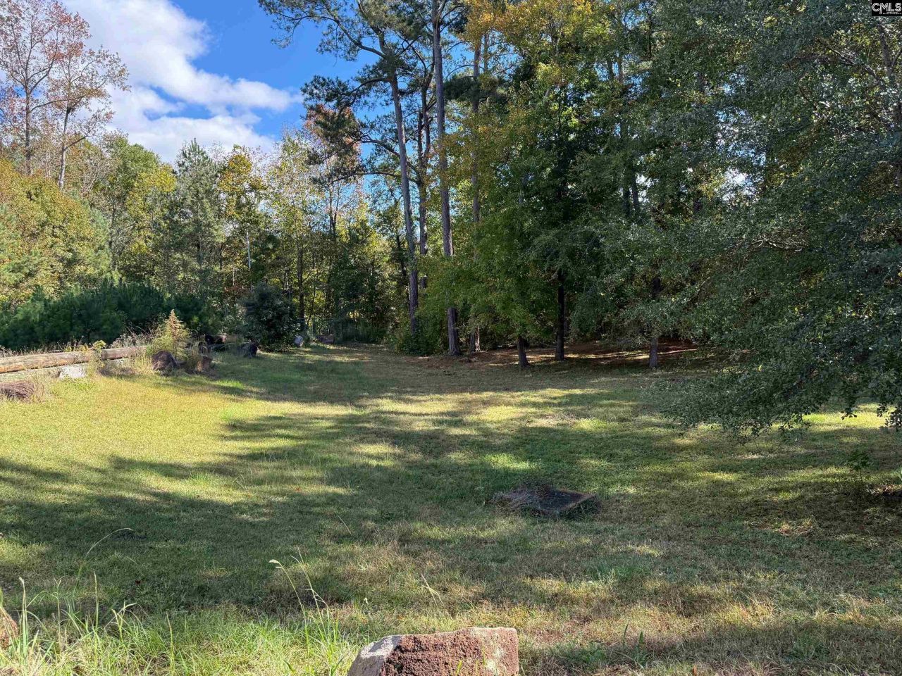 55 Holly Ridge Lane  Photo 4