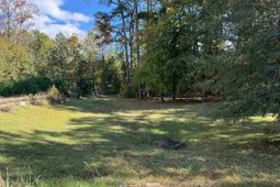 55 Holly Ridge Lane  photo 4