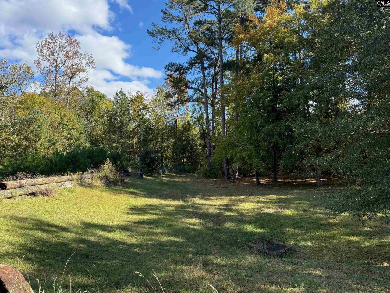 55 Holly Ridge Lane  Photo 5