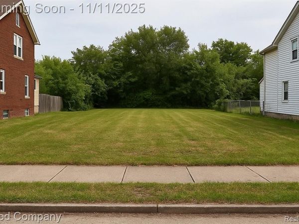 161 Waverly Street, Highland Park, MI 48203