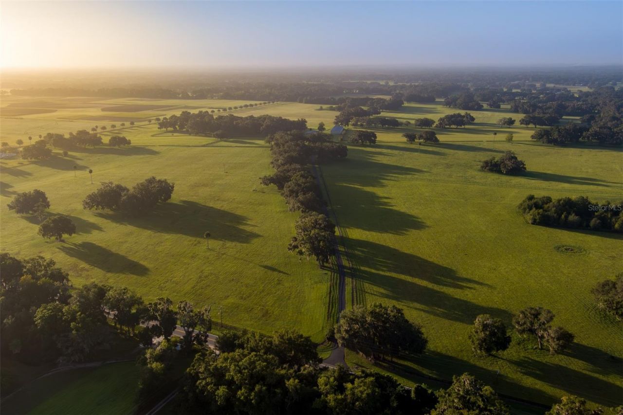 3682 W Highway 318, Citra, FL 32113 Photo