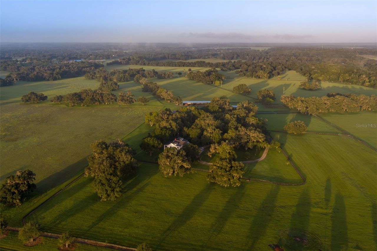 3682 W Highway 318, Citra, FL 32113 Photo