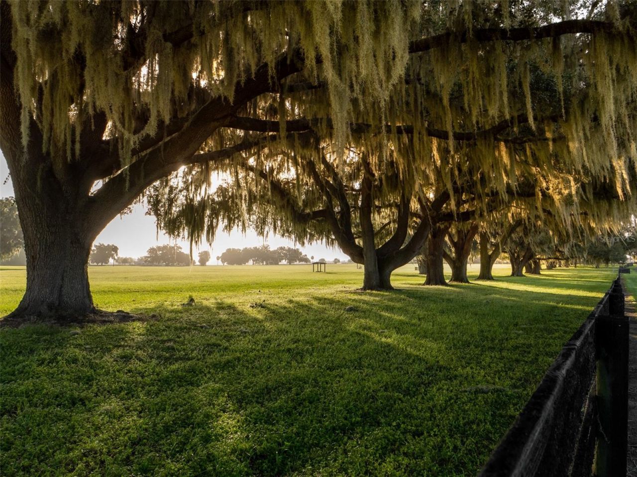 3682 W Highway 318, Citra, FL 32113 Photo