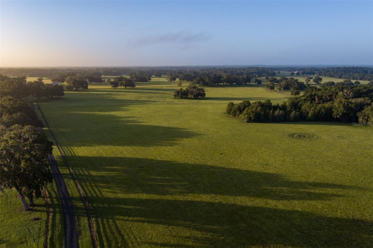 3682 W Highway 318, Citra, FL 32113 Photo