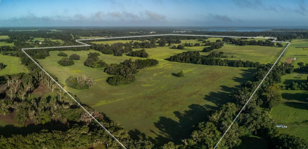 3682 W Highway 318, Citra, FL 32113 Photo