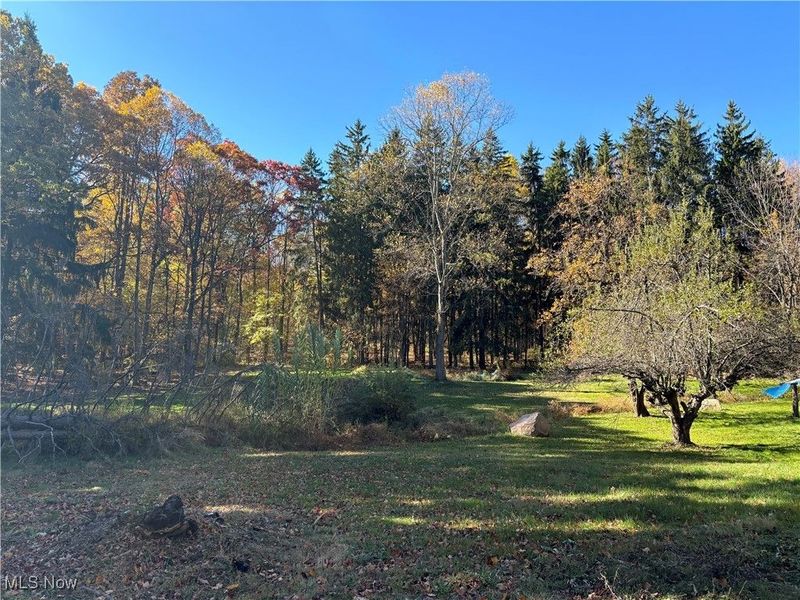 11131 State Route 44, Mantua, OH 44255 Photo 42