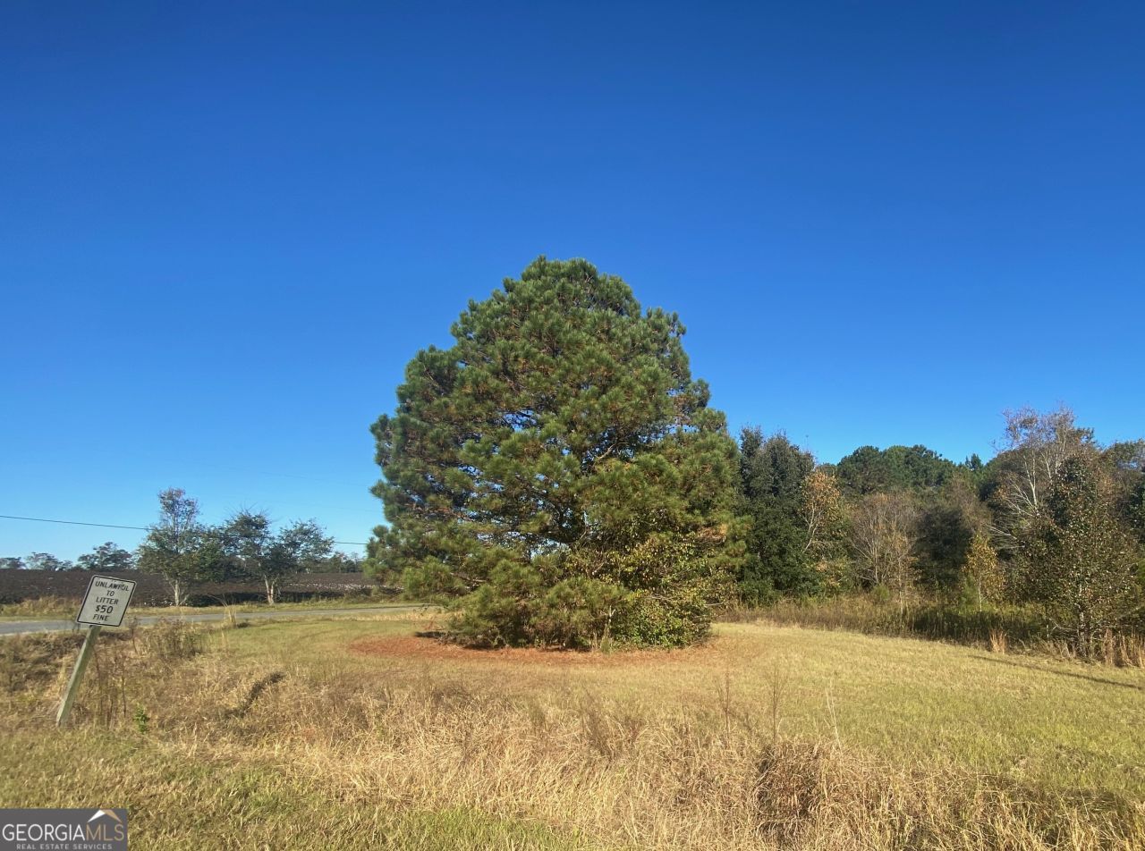 0 Jeanette Street, Unadilla, GA 31091 Main Photo