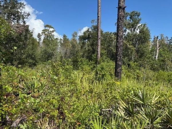0 County RD 54 E, Kathleen, FL 33849