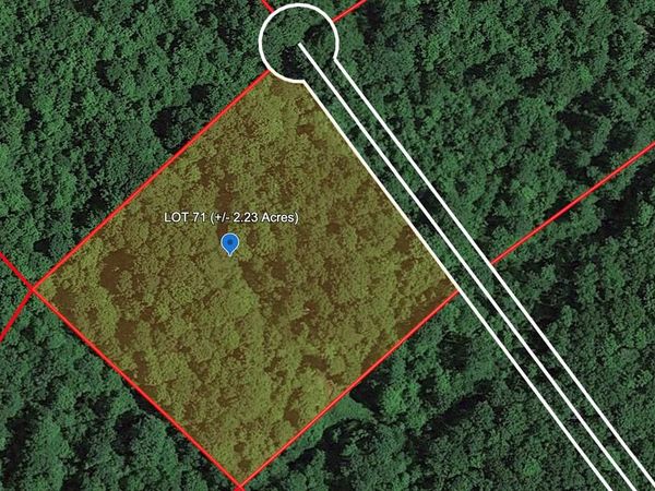 119 HONEYBEE WAY, BRAGG, WV 25918