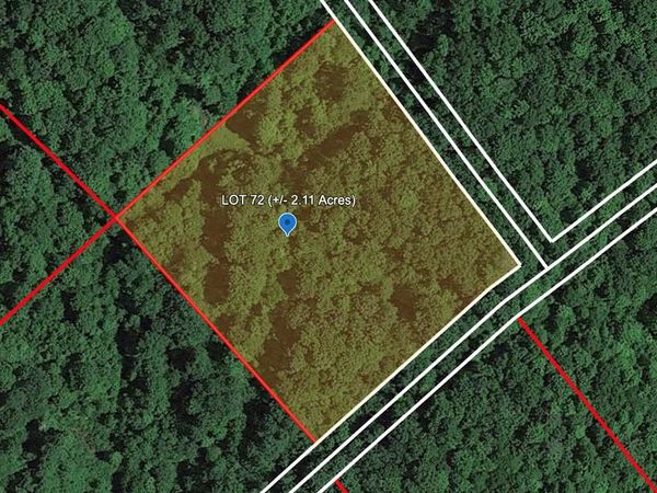 109 HONEYBEE WAY, BRAGG, WV 25918