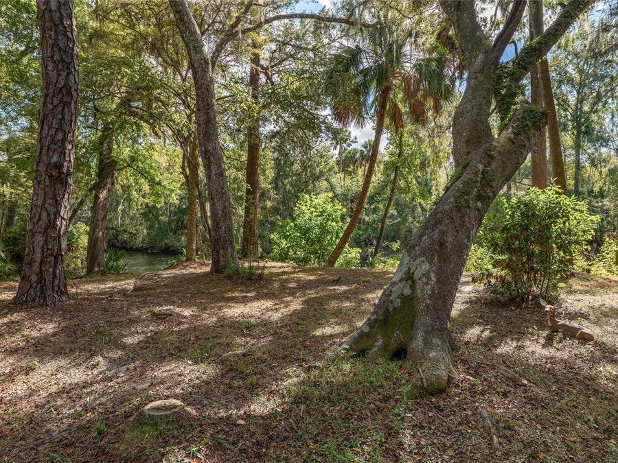 Property Image 80