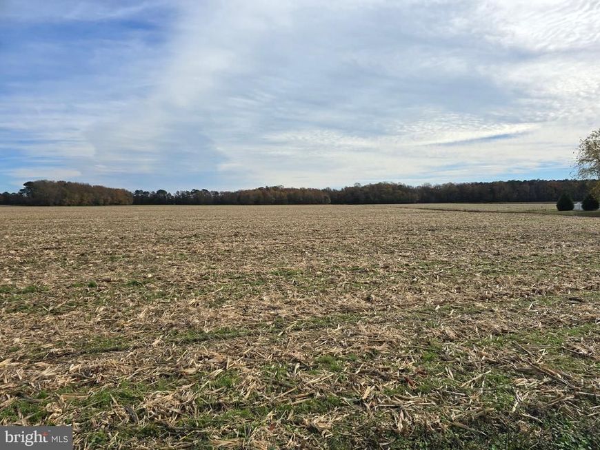 0 Richardson Road, Willards, MD 21874 Main Photo