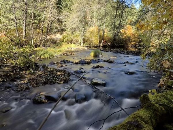 52 Dodes Creek Road, Trail, OR 97541