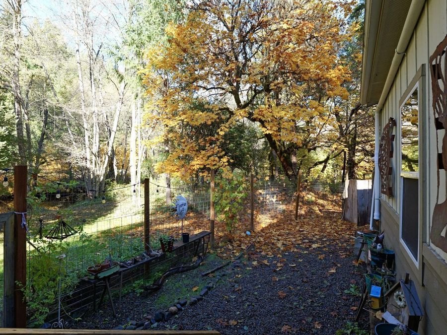 Property Image 63