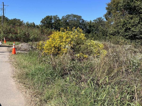 404 W 5th Street, Carlisle, AR 72024