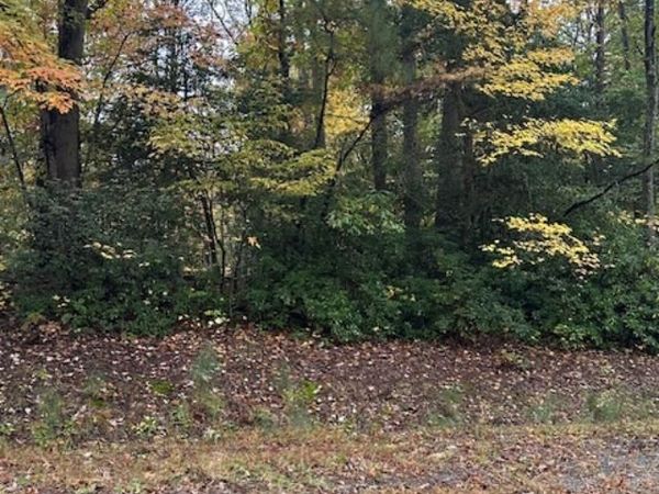 Lot 31 Arthur Court, MONTROSS, VA 22520