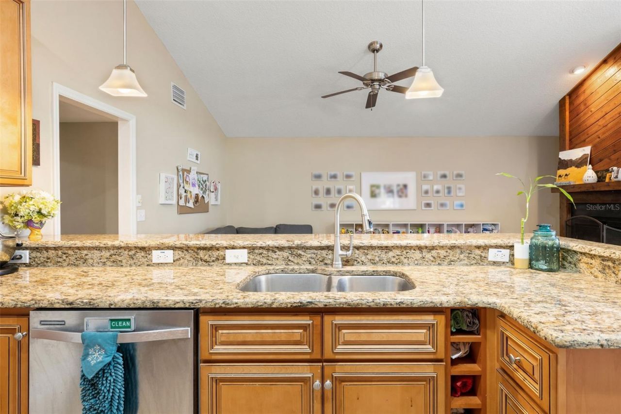 12803 Rain Forest Street, Temple Terrace, FL 33617 Photo