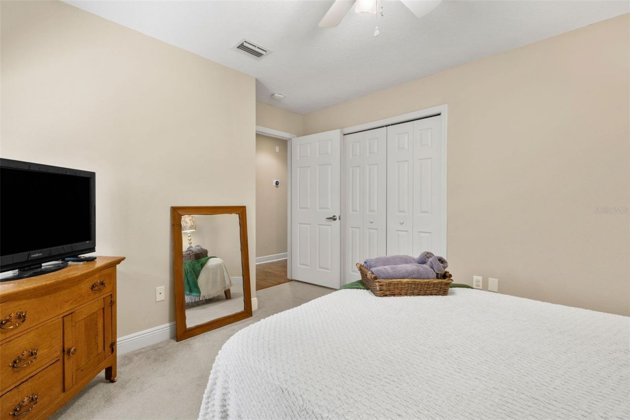 12803 Rain Forest Street, Temple Terrace, FL 33617 Photo