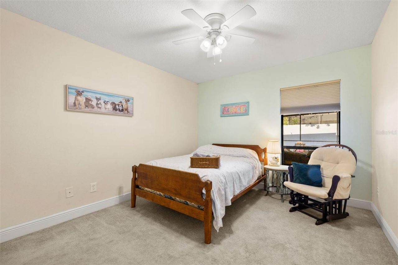 12803 Rain Forest Street, Temple Terrace, FL 33617 Photo