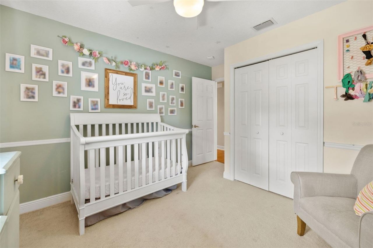 12803 Rain Forest Street, Temple Terrace, FL 33617 Photo