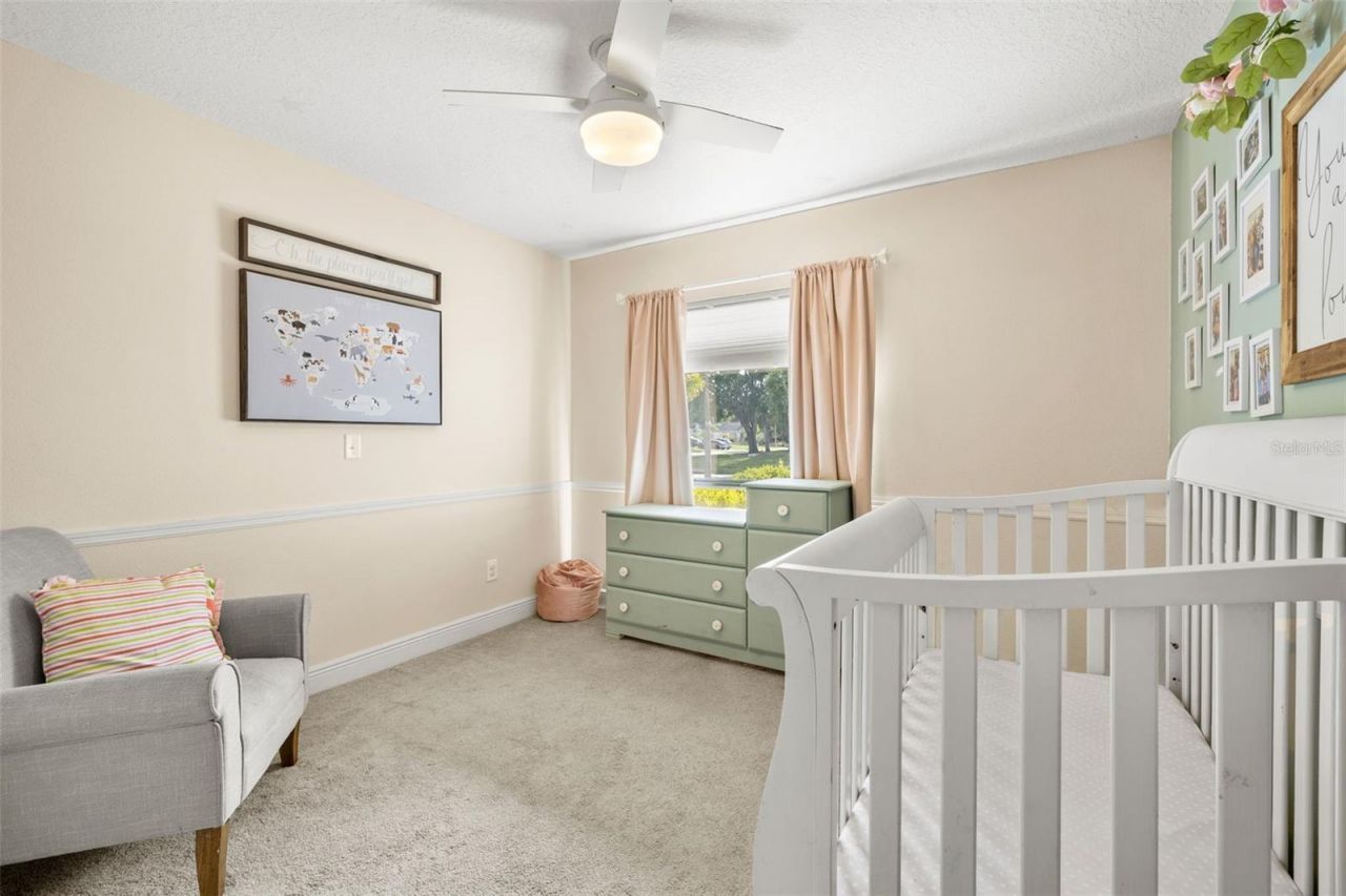 12803 Rain Forest Street, Temple Terrace, FL 33617 Photo