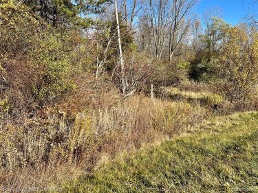 N Corunna Road , Clayton Twp, MI 48473