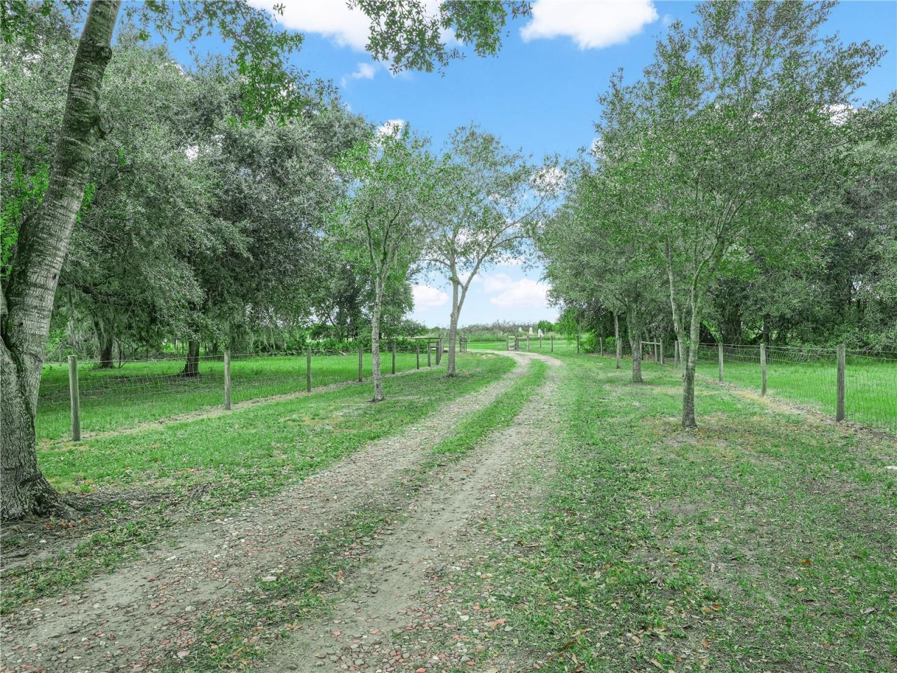3963 Mammoth Grove Road, Lake Wales, FL 33898 Photo