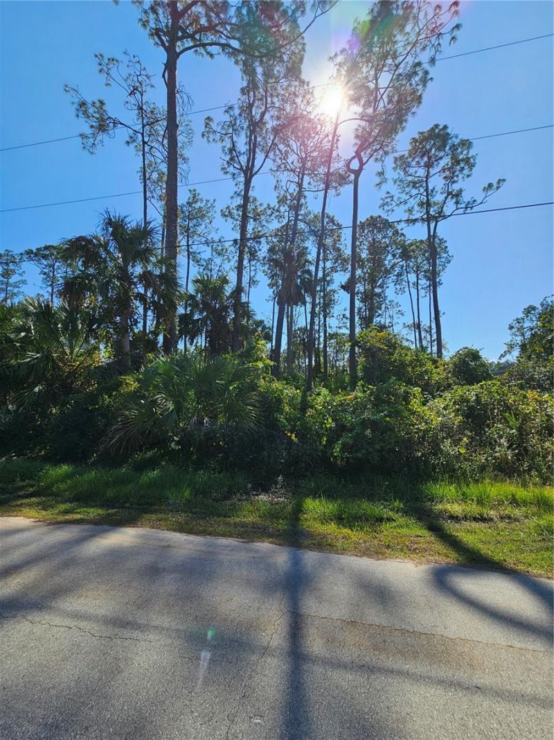 6 Poindexter Lane, Palm Coast, FL 32164 Main Photo