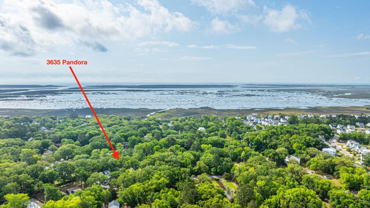 3635 Pandora Drive Photo 47