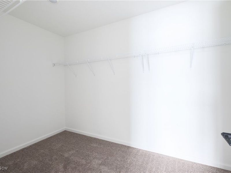 11055 Davids Court, Columbia Station, OH 44028 Photo 20