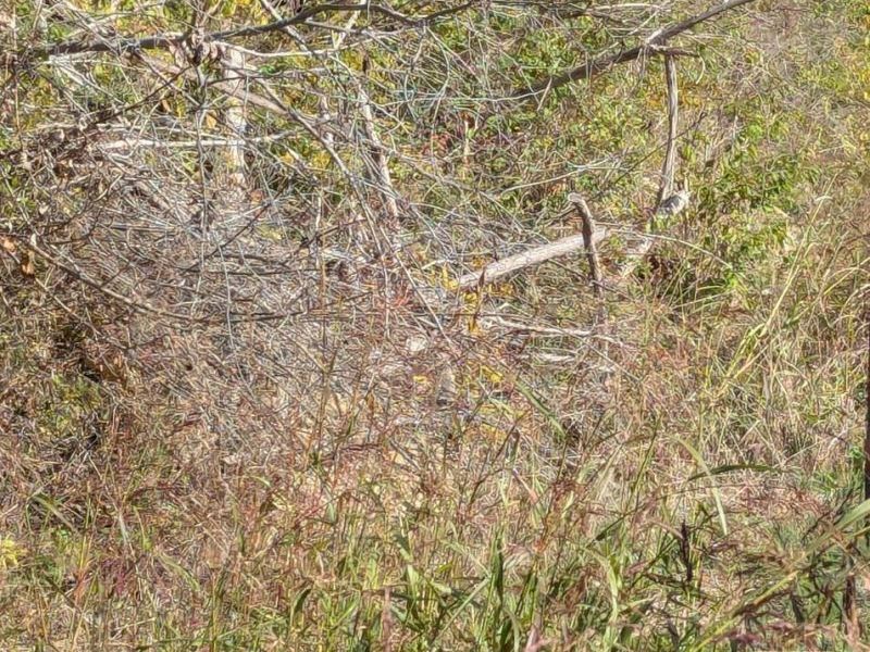 9300 Old State, Huntington Twp, OH 45101 Photo 4