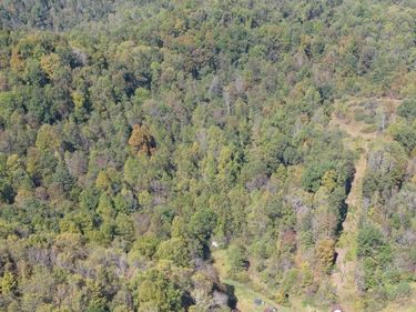 TBD FLAG RUN Road, Clarksburg, WV 26301