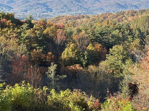 999 Old Spring Road, Brevard, NC 28712