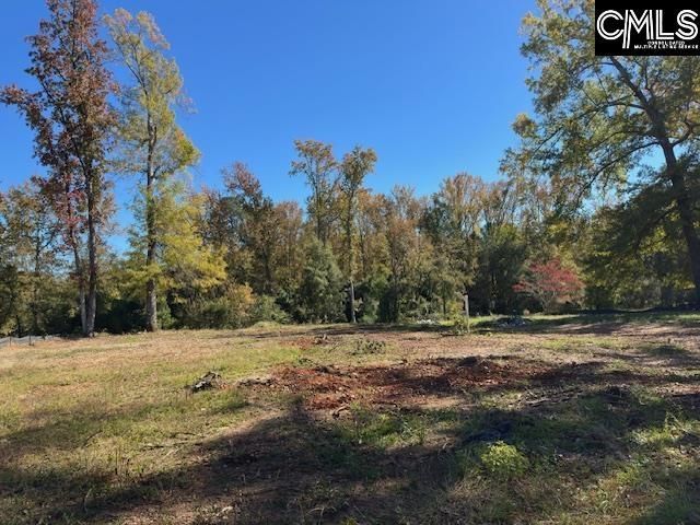 417 Craftsman Court  Photo 6