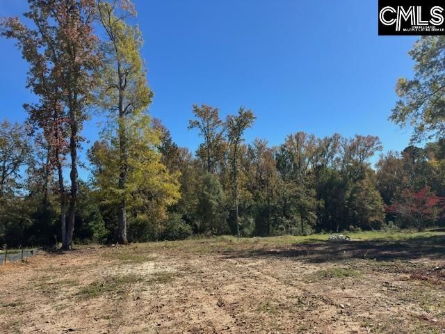 417 Craftsman Court  Photo 7