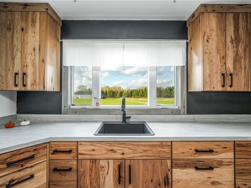 12928 State Route 88, Garrettsville, OH 44231 Photo 4