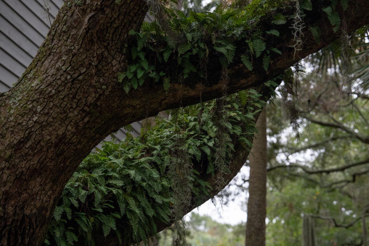 601 Double Eagle Trace Photo 37