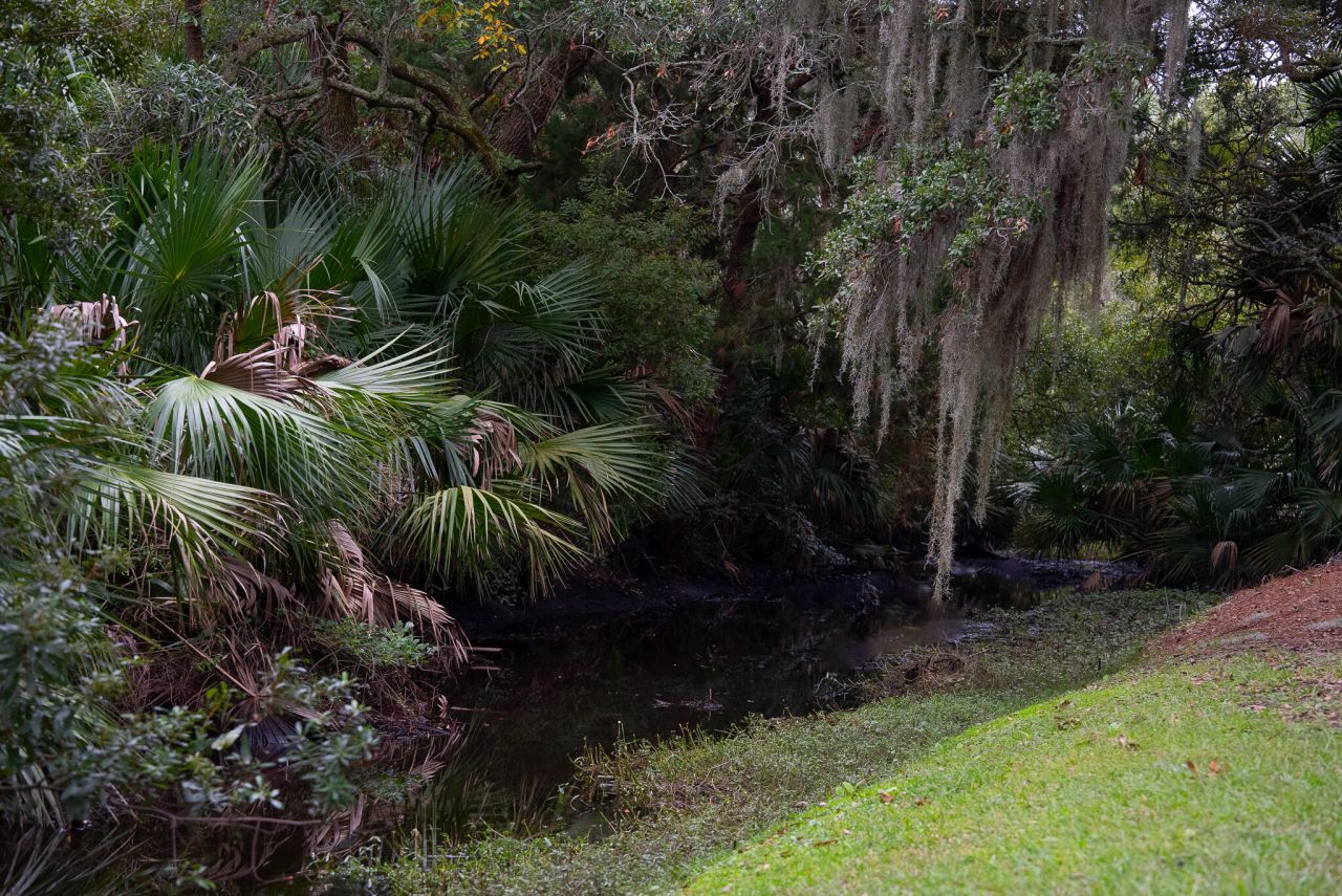 601 Double Eagle Trace Photo 42