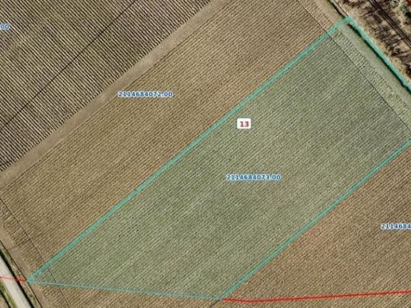 1071 Yokely Rd, Franklin, LA 70538