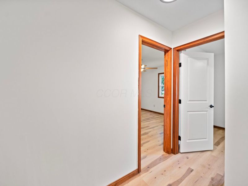 4650 Cautela Drive, Westerville, OH 43081 Photo 32